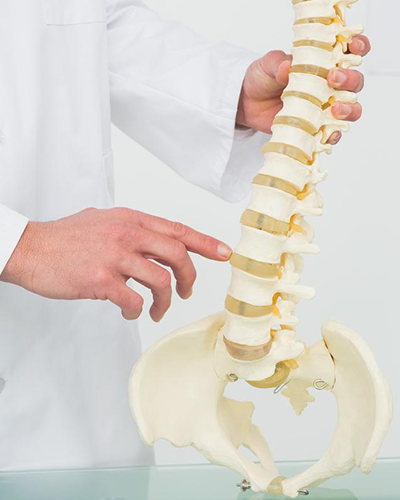 Chiropractic for Immune System Response at Velocity Health and Wellness